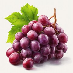 Grapes on white background highly detailed. AI