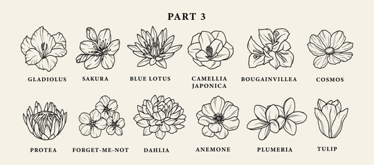 Line art garden flowers set. Botanical illustration - obrazy, fototapety, plakaty