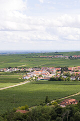Dorf mit Häusern umgeben von Weinanbau, Pfalz, Deutschland