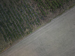 Newly Planted Forest AND FIELDS in bad weather 