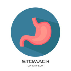 Fototapeta premium simple clip art human stomach Icon vector illustration isolated on a white background. creative stomach logo icon vector design template - EPS 10