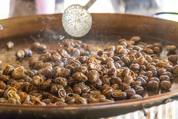escargot is fried in a frying pan. Selective focus.