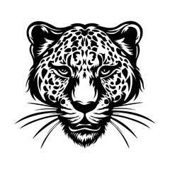 Jaguar face Stock Vector Illustration