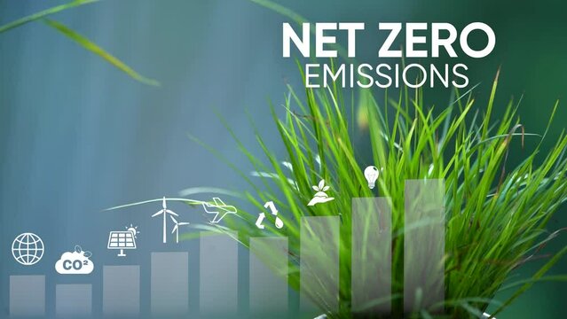Net zero 2050. Carbon neutral concept. Net zero greenhouse gas emissions target. Climate neutral long term strategy.Growth chart with net zero icons. No toxic gase