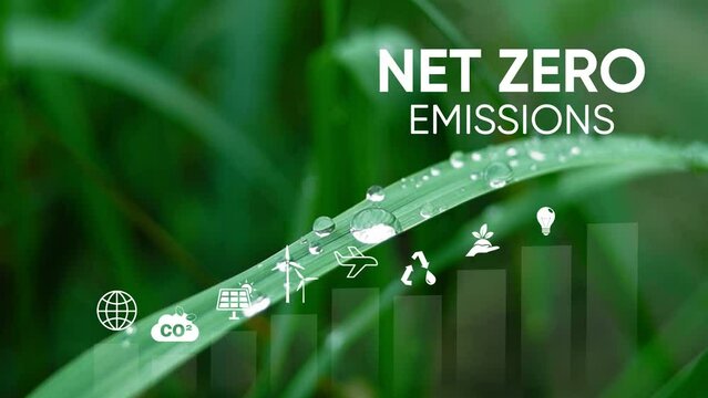 Net zero 2050. Carbon neutral concept. Net zero greenhouse gas emissions target. Climate neutral long term strategy.Growth chart with net zero icons on geen nature background
