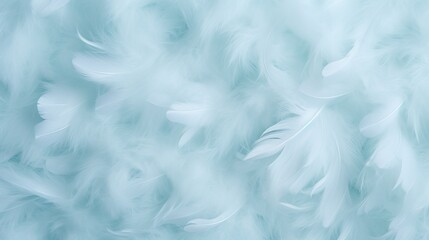 White fluffy feathers on pale teal blue background