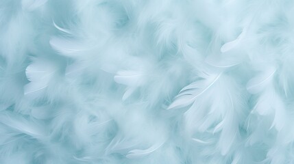Obraz premium White fluffy feathers on pale teal blue background