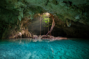 Sac Actun Cenote in Tulum Mexico with tree roots climbing down to the water