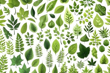 Leaves icon vector set isolated on white background. Various shapes of green leaves of trees and plants set of isolated green leaves vector icon design on white background. Various shapes of green lea - obrazy, fototapety, plakaty