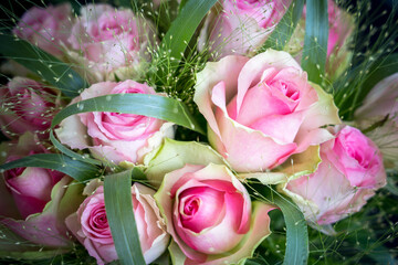 Bouquet of small flowered roses