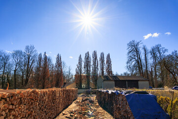 The sun shines over a pile of wood in front of the orangery of the castle in the Bavarian...