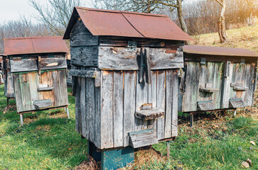 Old wooden beehives in an old apiary in a Ukrainian village