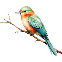 Fototapeta premium watercolor drawing of a beautiful bird on a tree branch png / transparent