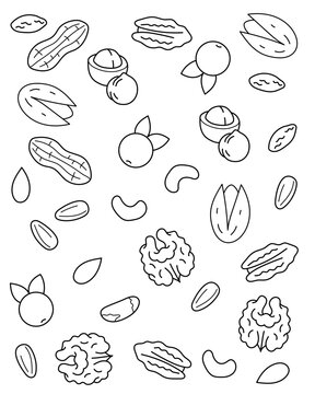 Nuts, seeds, berries. Pattern. Coloring page, black and white vector illustration.