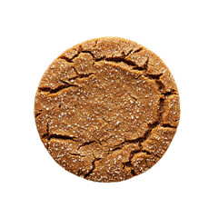 Ginger Snap Cookie isolated on transparent background. Top view.