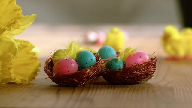 Easter eggs and daffodil flowers display