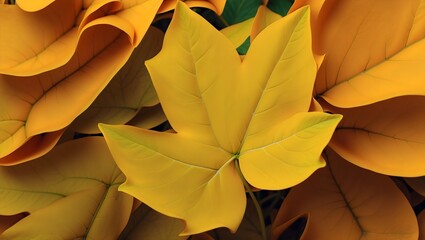 A close-up of vibrant yellow leaves, symbolizing autumn with its warm hues and falling foliage