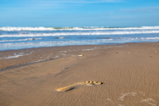 Footprints in the sand on the beach