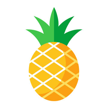 flat logo vector pineapple with leaves
