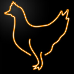 Fototapeta premium chicken neon sign, modern glowing banner design, colorful modern design trend on black background. Vector illustration.