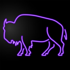 buffalo neon sign, modern glowing banner design, colorful modern design trend on black background. Vector illustration.