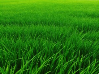 Obraz premium The texture of green grass covers the entire screen without unnecessary elements.