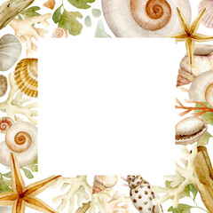 Frame of watercolor shells of various types, driftwood, glass and other sea finds