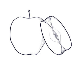 hand drawing of an apple and half a fruit vector