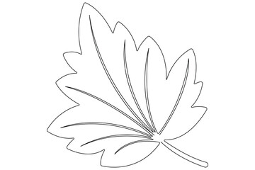 Continuous one line art drawing maple leaf botanical decorative symbol outline vector art illustration 
