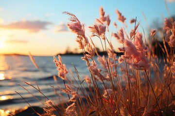 close up view of reeds at sunset, webcam photography, fisheye lens, light magenta and sky-blue, romantic seascapes