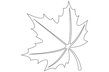 Fototapeta premium Continuous one line art drawing maple leaf botanical decorative symbol outline vector art illustration 