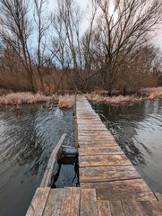 Crookback Bog