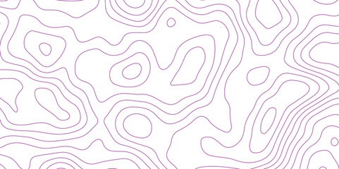 Abstract background with topographic contour map with purple color geographic line map .white wave paper curved reliefs abstract background .vector illustration of topographic line contour map design.