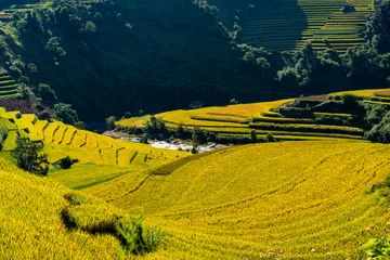 Papier Peint photo Mu Cang Chai Rice fields on terraced of Mu Cang Chai, YenBai, Vietnam.