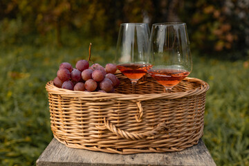 Close up of basket grape fruits, glass of rose wine on green grass in garden. Summer weekend outdoor against green spring background. High quality photo