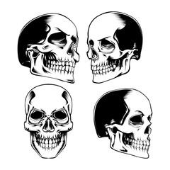 SET SKULL HEAD