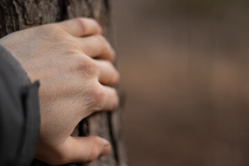 Close up view of man's hand on the bark of a pine tree - Powered by Adobe