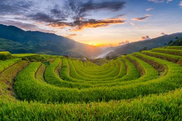 Poster Rice fields on terraced of Mu Cang Chai, YenBai, Vietnam. © VietDung