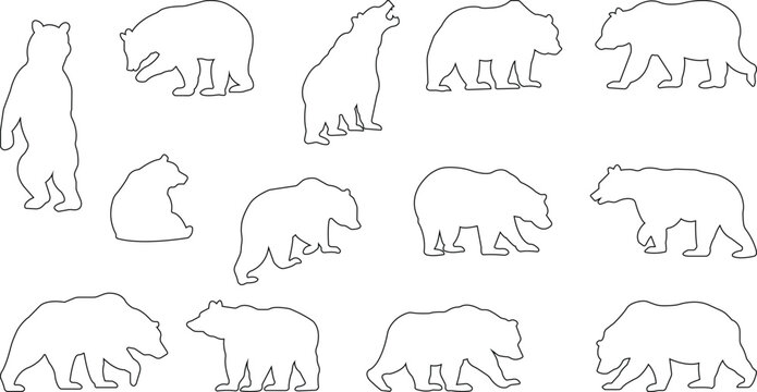 Various bear silhouettes icons set isolated on the transparent background. Bear animal collection, various poses and position black line vector for zoo, wildlife, graphic, web and mobile app.