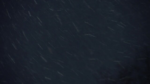 Cloudy sky and falling snow in the dark, a real blizzard, snow storm in Canada. Wind speed dust scratches noise snow wind blizzard flow shower white haze, crazy noisy stripes pattern of real snow.