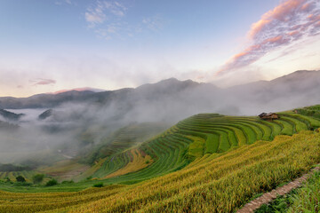 Rice fields on terraced of Mu Cang Chai, YenBai, Vietnam.
