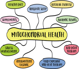 mitochondrial health concept - mind map infographics, vector sketch, healthy lifestyle and aging