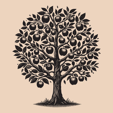 Apple tree. Old vintage engraving illustration. Hand drawn outline graphic. Logo, emblem, icon. Isolated object, cut out. black and white	