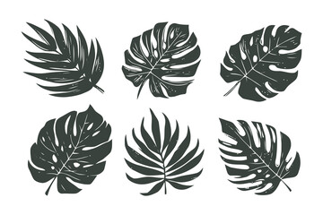 Set of Tropical leaves.
