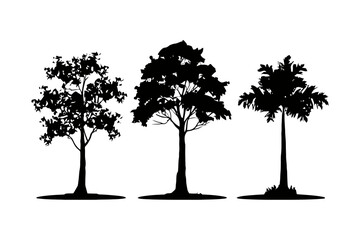 Vector silhouette of tree on white background. set collection