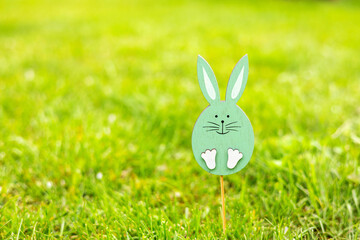rabbit bunny from wood through natural blossom spring flowers or on green grass.crown from small white flowers.cute animal on cherry apple tree branch. happy easter, sunny warm day.