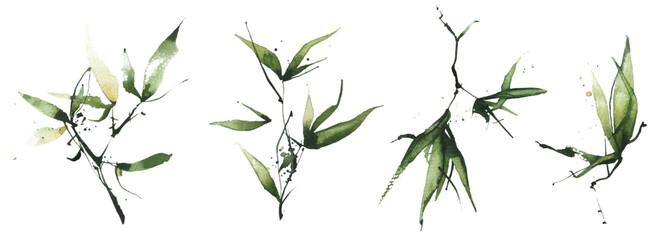 Watercolor exotic greenery set. Green bamboo branches, leaves and twigs.