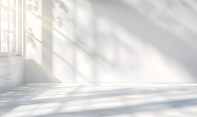 Abstract white studio background for product light and shadow room mock ups - light gray concrete wall