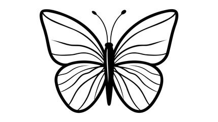 butterfly icon vector illustration on white background