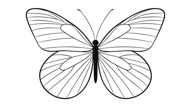 butterfly icon vector illustration on white background